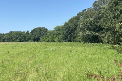 TBD5 County Rd 141, Callisburg, TX 76240 - photo 3