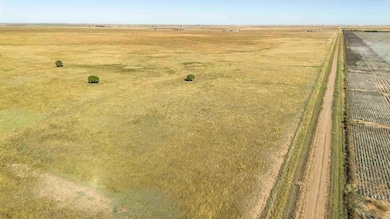 0 Highway 60, Panhandle, TX 79068 - photo 7