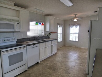 36640 Grace Ave, Zephyrhills, FL 33542 - photo 4