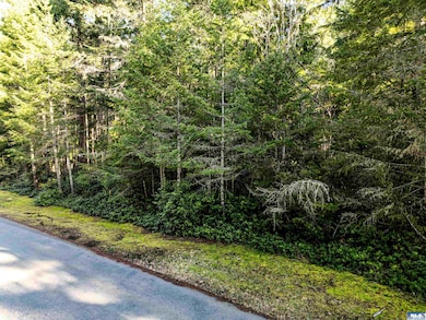 9999 Hunt Rd, Port Angeles, WA 98363 - photo 6