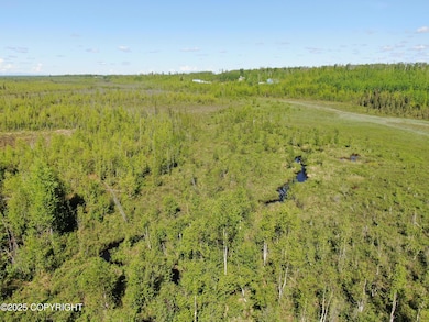 B002 S Johnsons Rd, Wasilla, AK 99654 - photo 2