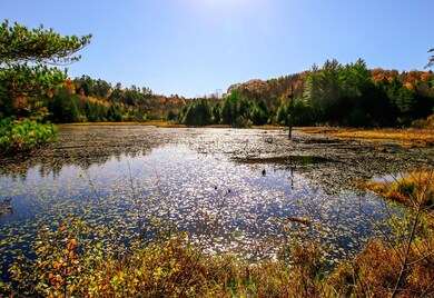 261 Porter Rd, Plainfield, NH 03781 - photo 3
