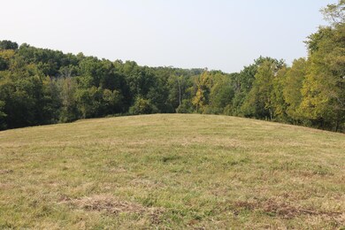 1272-X Moorefield Rd, Carlisle, KY 40311 - photo 6