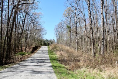 5.5 acres in quiet neighborhood