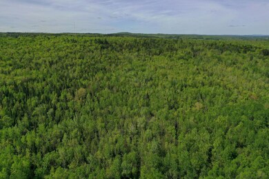DJI_0270