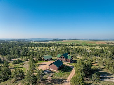 11431 Wrangler Rd, Custer, SD 57730 - photo 4