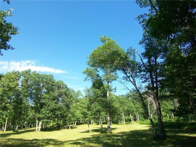 Lot 5 Minerva Rd, Danbury, WI 54830 - photo 5