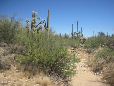 XX Derio, Marana, AZ 85658 - photo 7