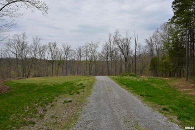 000 Parrish Ridge Ln, Tunnel Hill, IL 62972 - photo 4