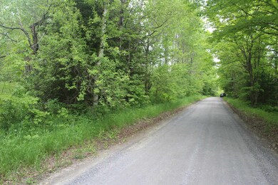 0 Cobb Rd unit 5046229, Walden, VT 05873 - photo 4