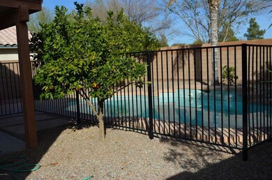 Backyard 2