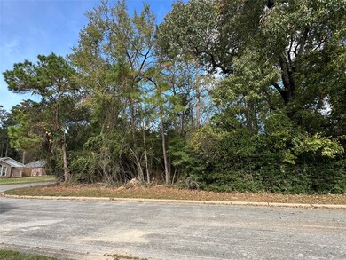 218 Broadmoor Dr, Huntsville, TX 77340 - photo 6