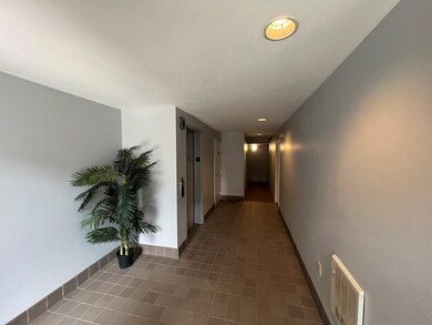 255 Beacon St unit 4C, Somerville, MA 02143 - photo 2