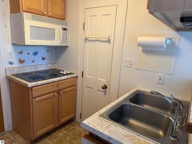 5951 N Skeel Ave unit 306, Oscoda, MI 48750 - photo 4