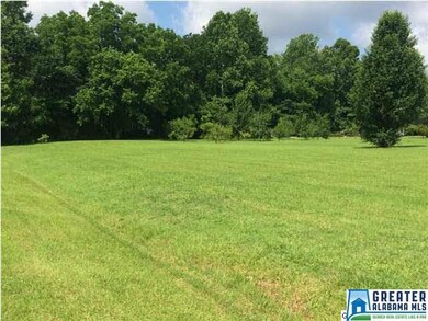 More acreage that would be great for a garden or m