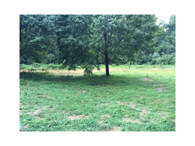 Yard/Garden.