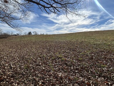 0 Hidden River Rd unit RTC3050288, Rock Island, TN 38581 - photo 4