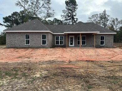 2 Sandy Run Rd, Hattiesburg, MS 39402 - photo 3