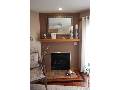 Gas fireplace in the living room.