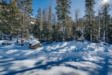 Lot 6 Porcupine Rd, Taos Ski Valley, NM 87525 - photo 5