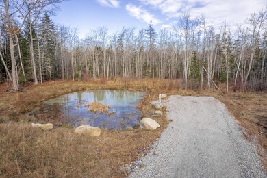 Fire Pond