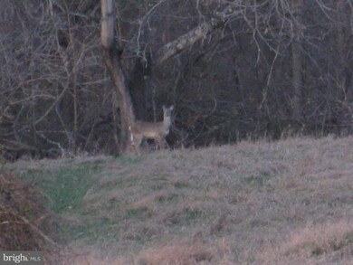0 Steamboat Run Rd unit 1004352034, Shepherdstown, WV 25443 - photo 4