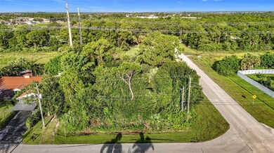 Pic 4 Side of lot Facing East on McKenzie