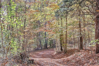 0 Batson Mill Rd unit 21819573, Charlotte, TN 37036 - photo 3