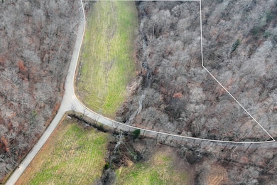 0 Kirkland Rd unit RTC3059615, Indian Mound, TN 37079 - photo 3