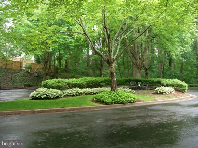 1304 Skipwith Rd, McLean, VA 22101 - photo 4