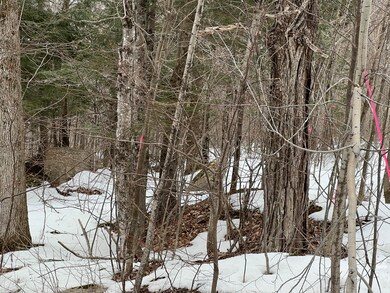 Bigelow Rd 5