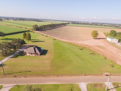 Lot View