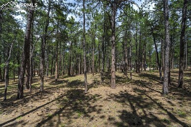 View of local wilderness