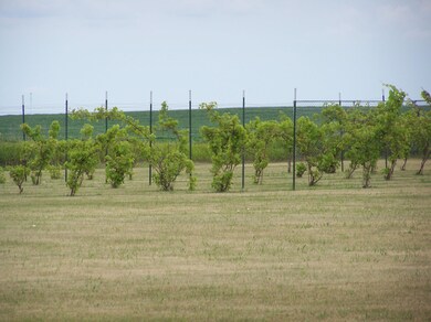 vinyard<|><|>