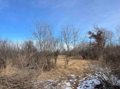 000 Grapevine Ave, Tomah, WI 54660 - photo 5