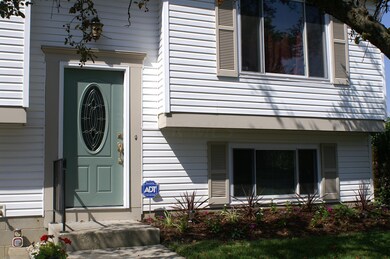 Oval Transom Door