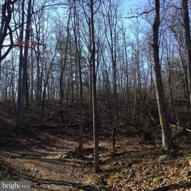 0 Battlefield Rd unit 1002812898, Strasburg, VA 22657 - photo 6