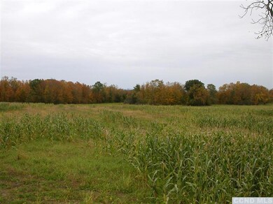 All land and trees belong to the property.