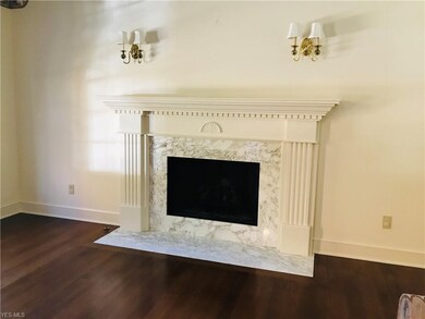 Living room fireplace