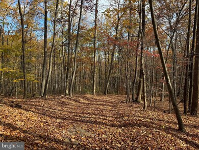 0 Woodlands Dr unit VARP2001854, Flint Hill, VA 22627 - photo 6