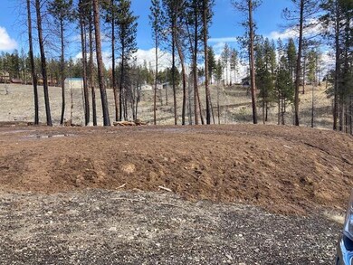 0 Corral Gulch Rd unit 220104153, Canyon City, OR 97820 - photo 6