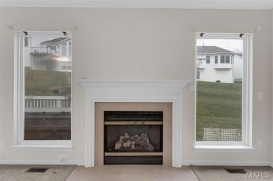 16 Hill Pointe Ct, Saint Charles, MO 63303 - photo 5