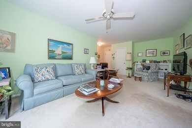 919 Montgomery Ave unit 2-4, Bryn Mawr, PA 19010 - photo 4