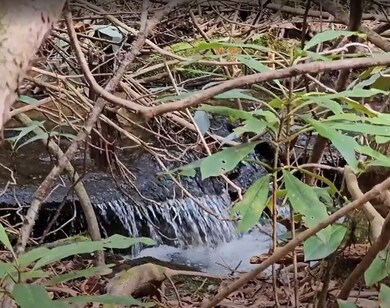 0 Falls Rd unit 1000715, Scaly Mountain, NC 28775 - photo 3