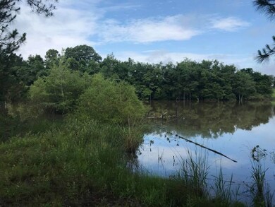 000 Leahs Row, Ambrose, GA 31512 - photo 3