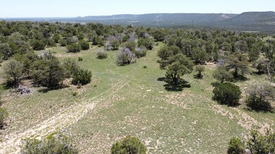 Lot 16 Swayback Trail, Corona, NM 87047 - photo 2