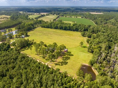 113 Jack C Lindsey Rd, Lenox, GA 31637 - photo 7