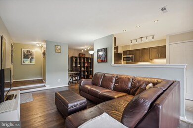 Chestnut Grove Condominiums unit 11204-108, Reston, VA 20190 - photo 6