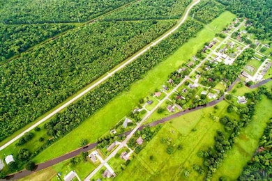 249 Aubin Ct, Houma, LA 70364 - photo 2