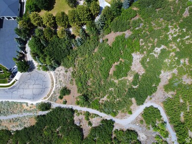 1691 E Box Elder Way unit 54, Alpine, UT 84004 - photo 4